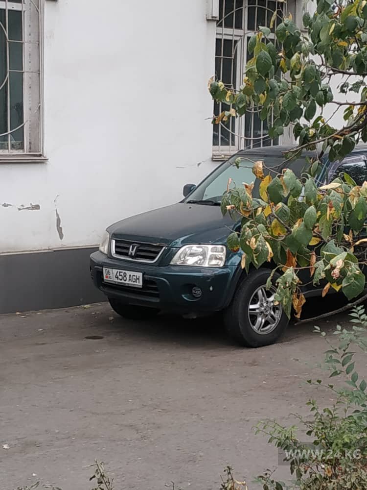 Чудаки парковки