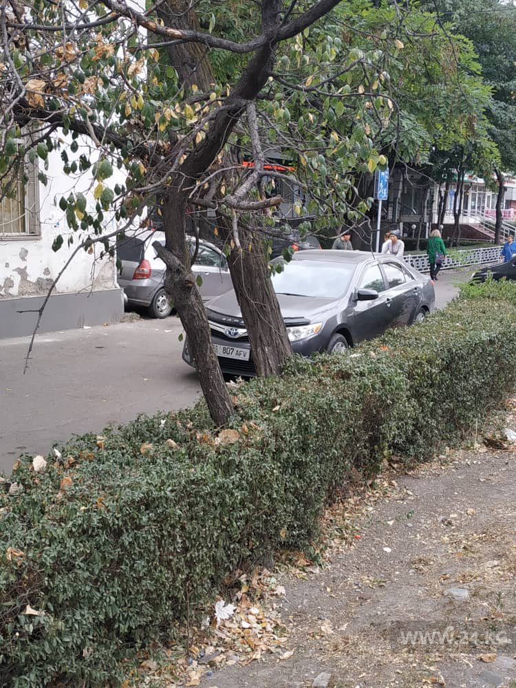 Чудаки парковки