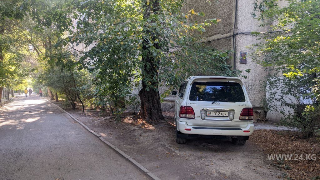 Чудаки парковки