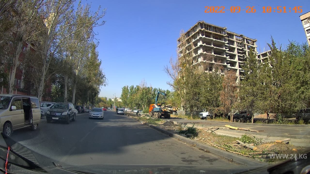 В Бишкеке рубят деревья