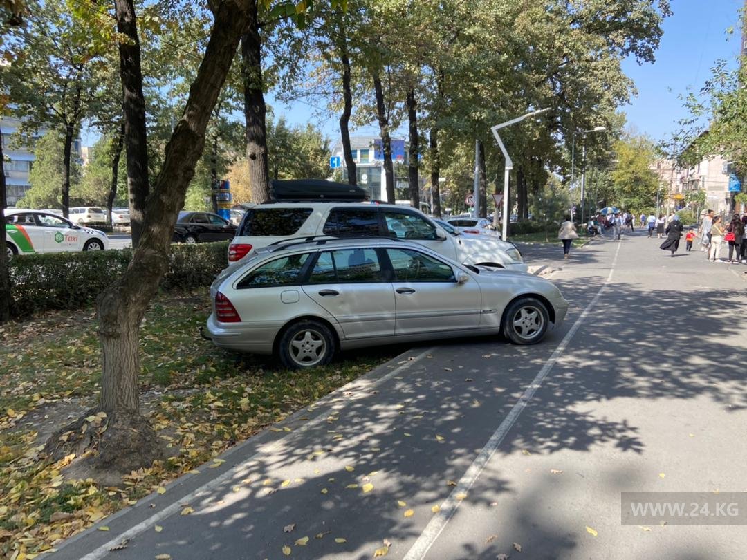 Чудаки парковки