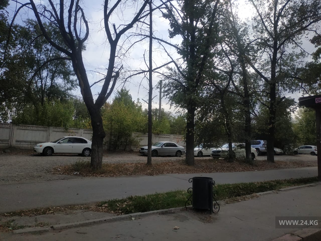 Чудаки парковки