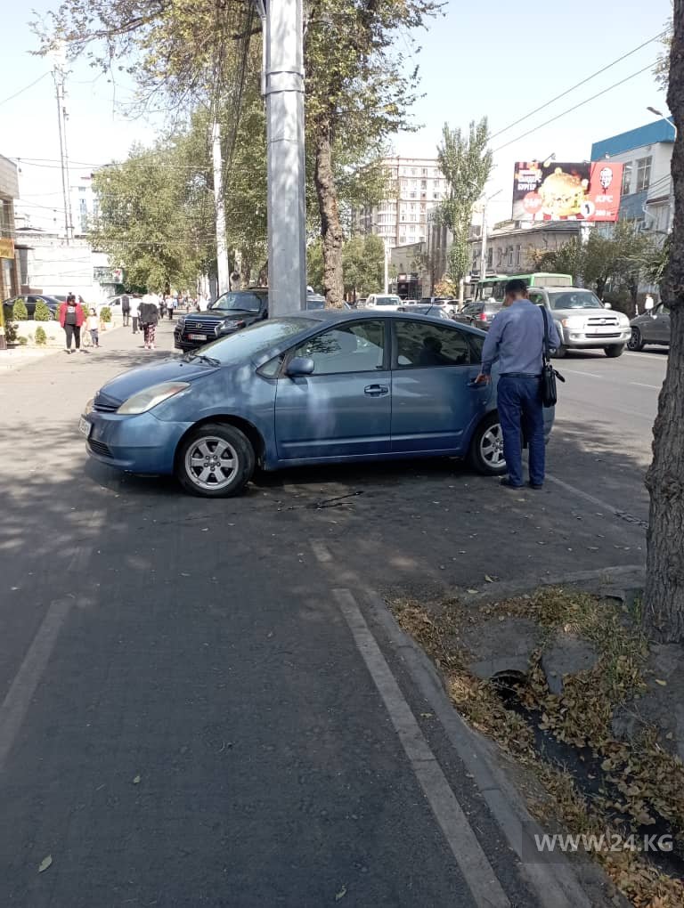 Чудаки парковки