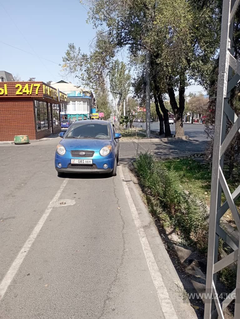 Чудаки парковки
