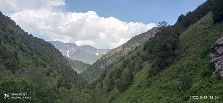 Алайку