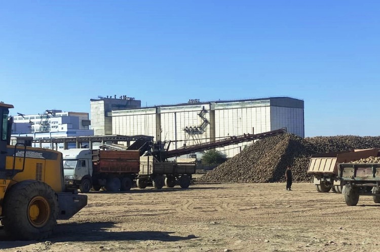 Чуй-Токмокский пункт по приему сахарной свеклы