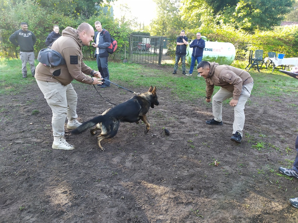 Визит в кинологический центр