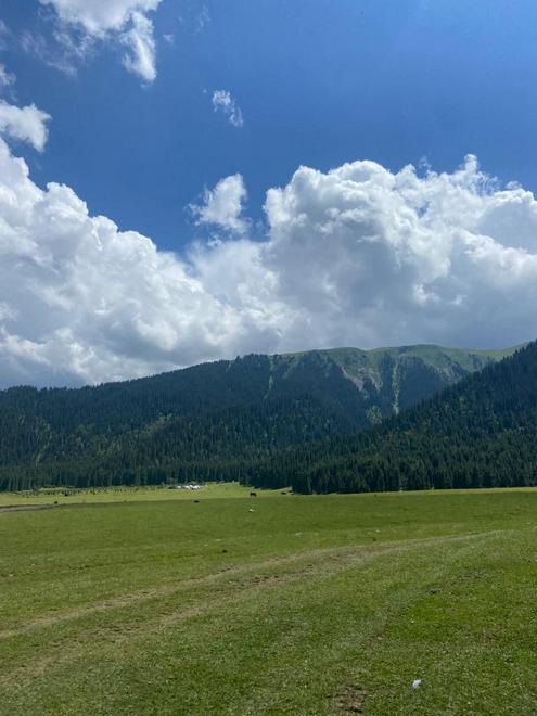 Барскоон