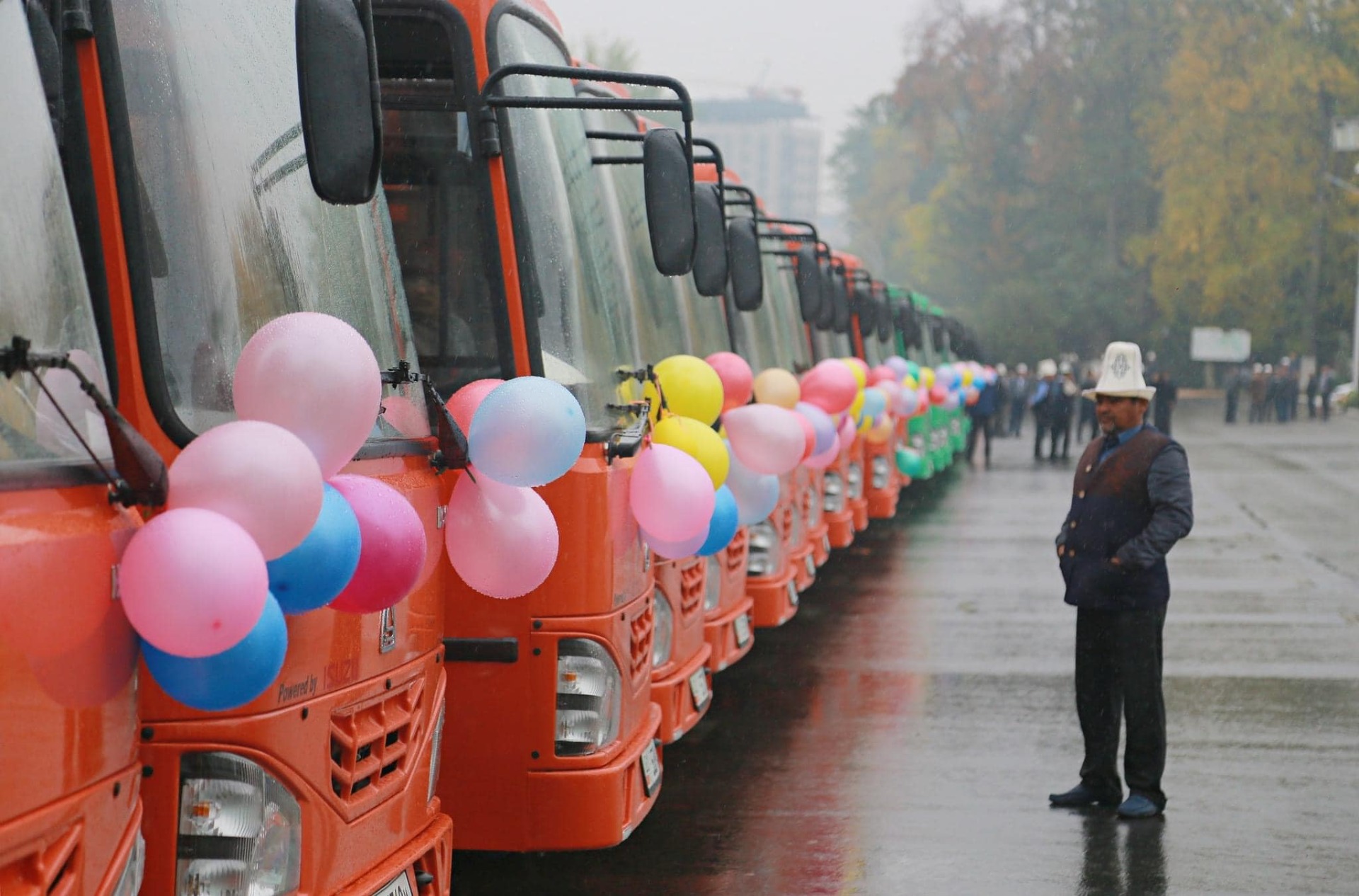 Новые автобусы