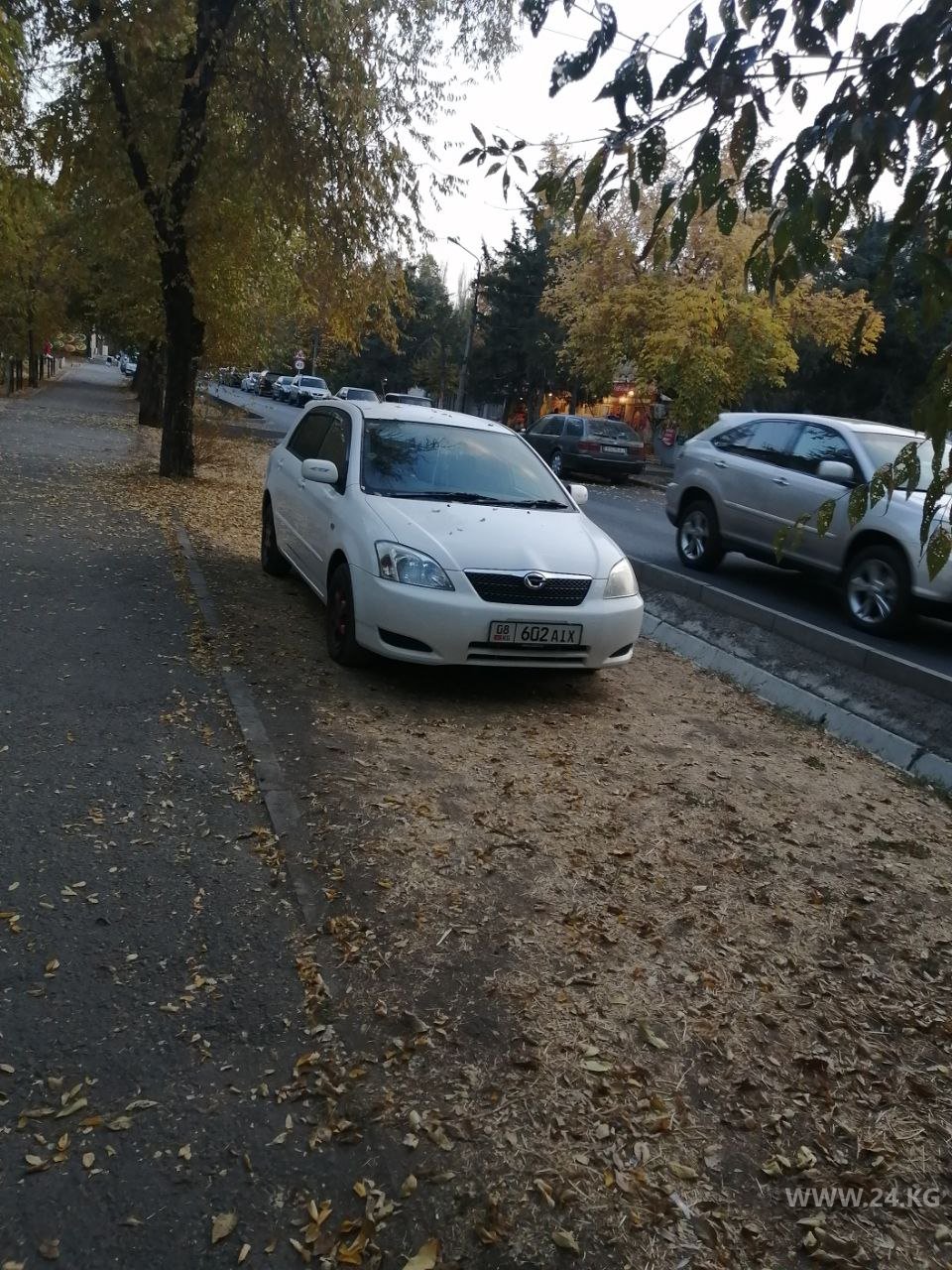 Чудаки парковки