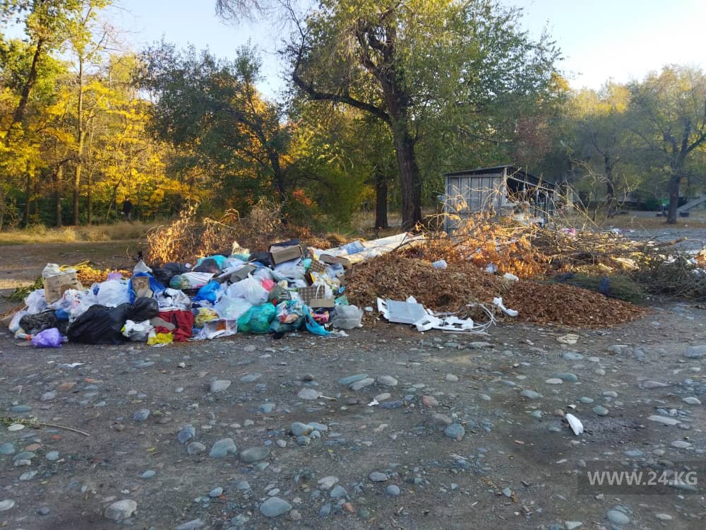 Свалка мусора во дворе домов по улице Ахунбаева