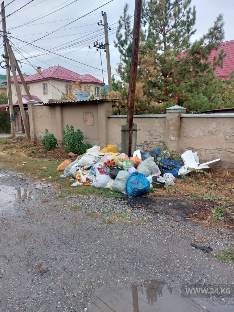 Мусор в Бишкеке