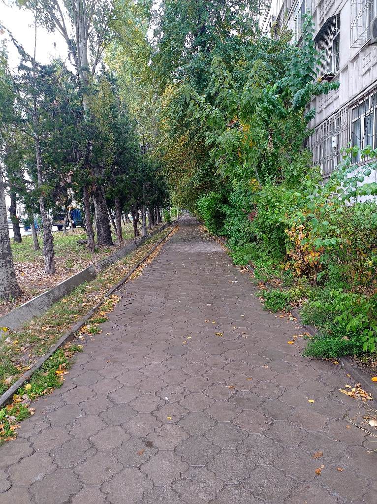 Тротуар, который планирует демонтировать муниципалитет