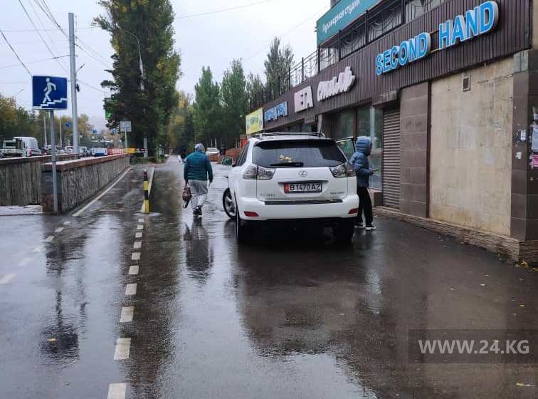 Чудаки парковки