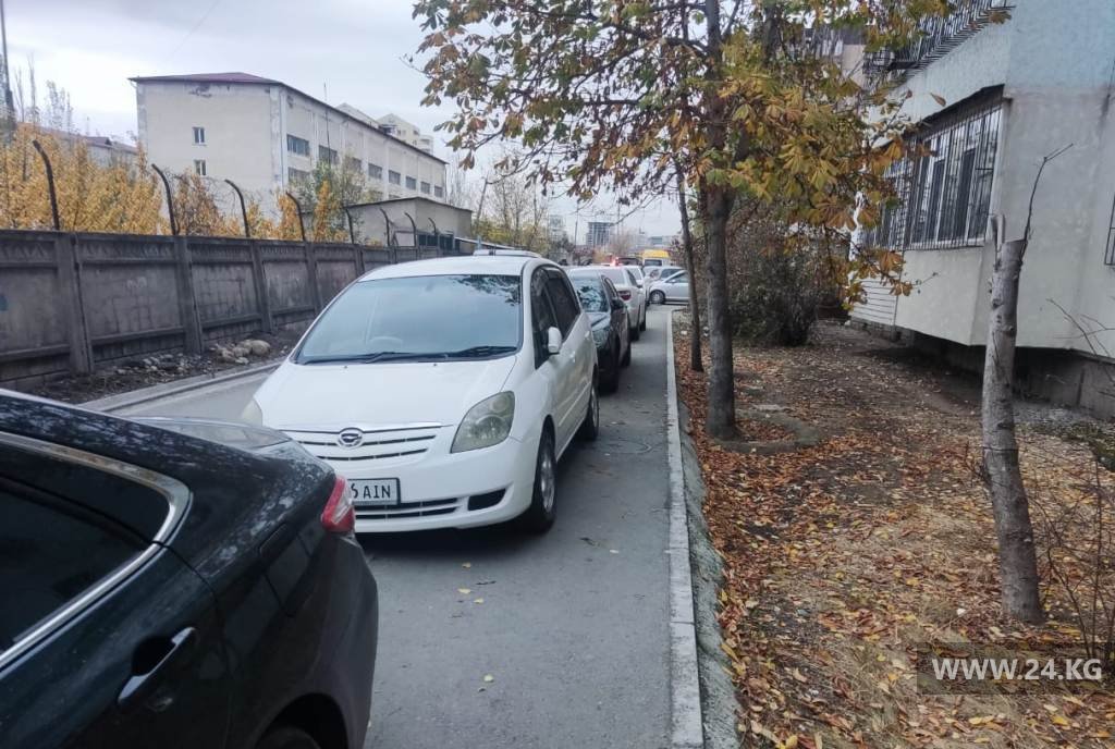 Чудаки парковки