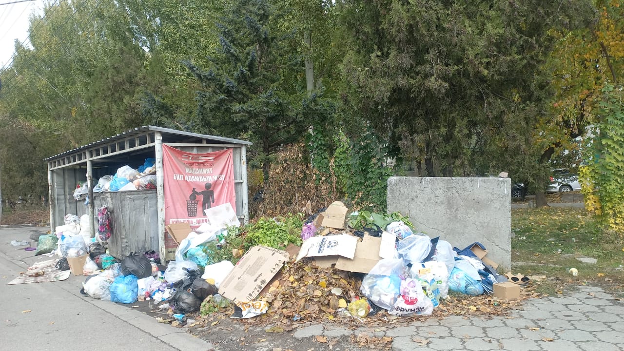 Одна из площадок по сбору мусора