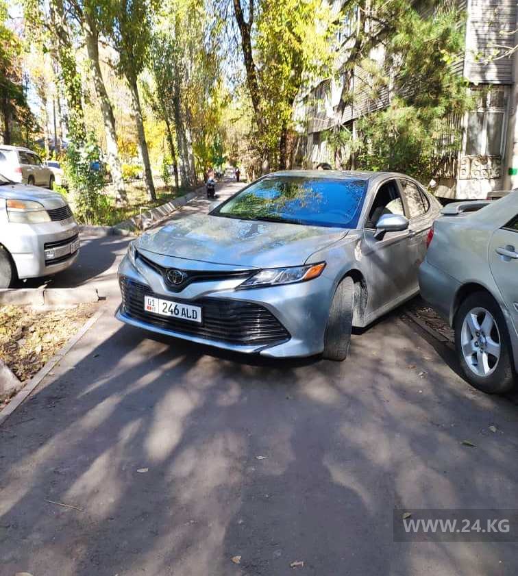 Чудаки парковки