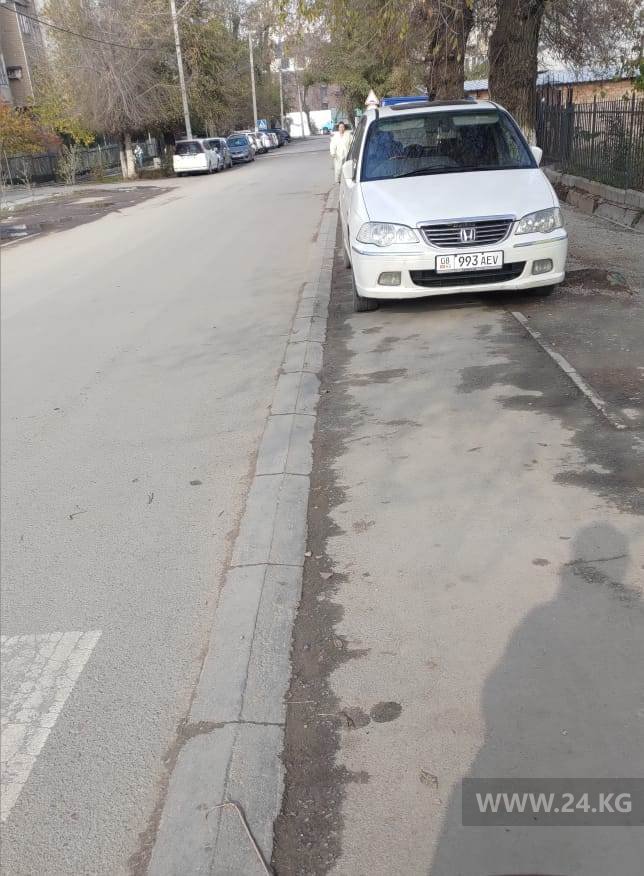 Чудаки парковки