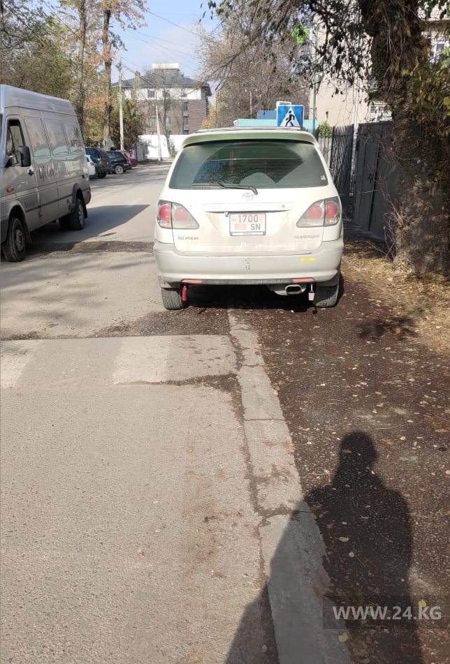 Чудаки парковки