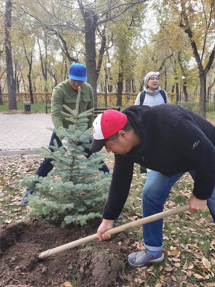 Журналисты сажают деревья