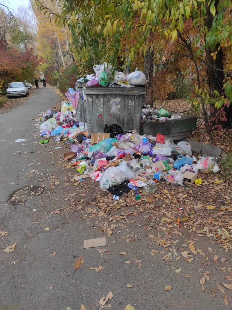Завалы мусора в одном из микрорайонов столицы