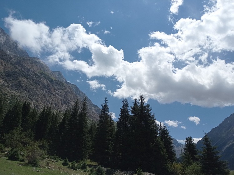 Барскоон