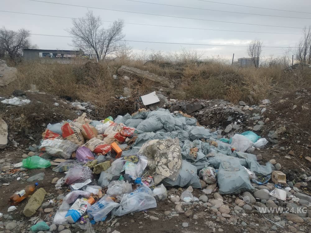 Пересечение улиц Исакеева и Виноградной