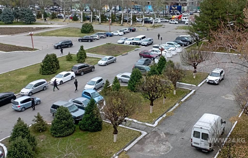 Чудаки парковки