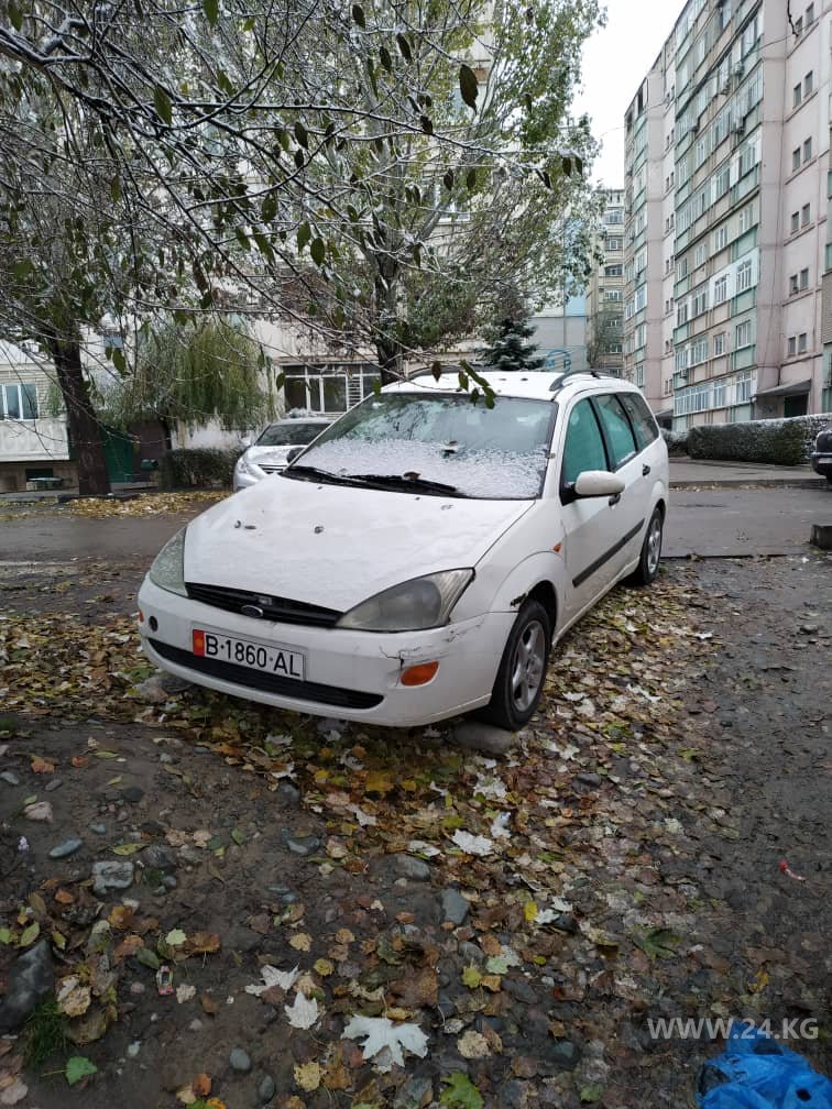 Чудаки парковки