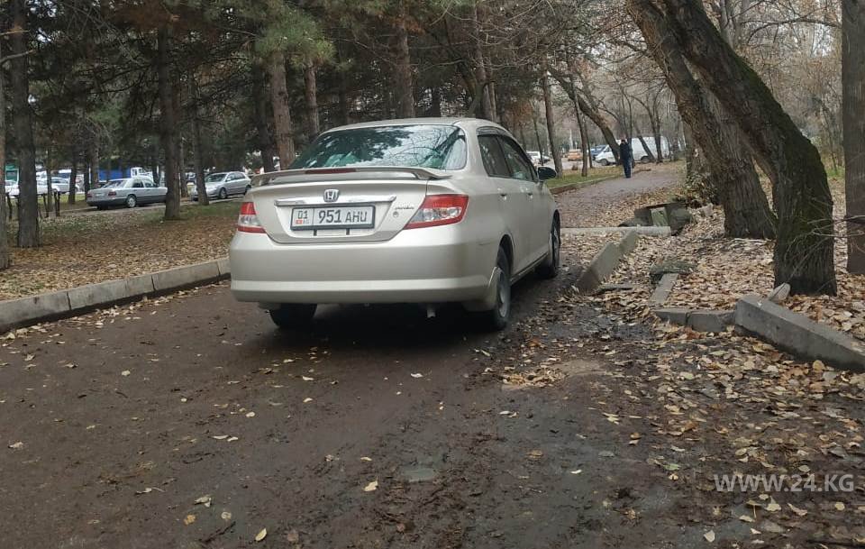 Чудаки парковки