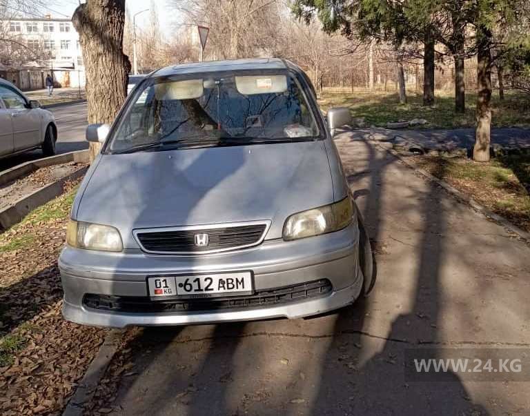 Чудаки парковки