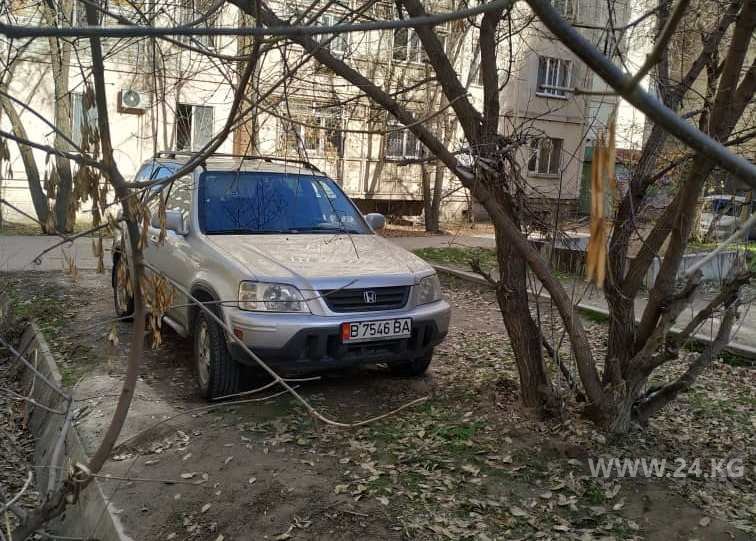 Чудаки парковки