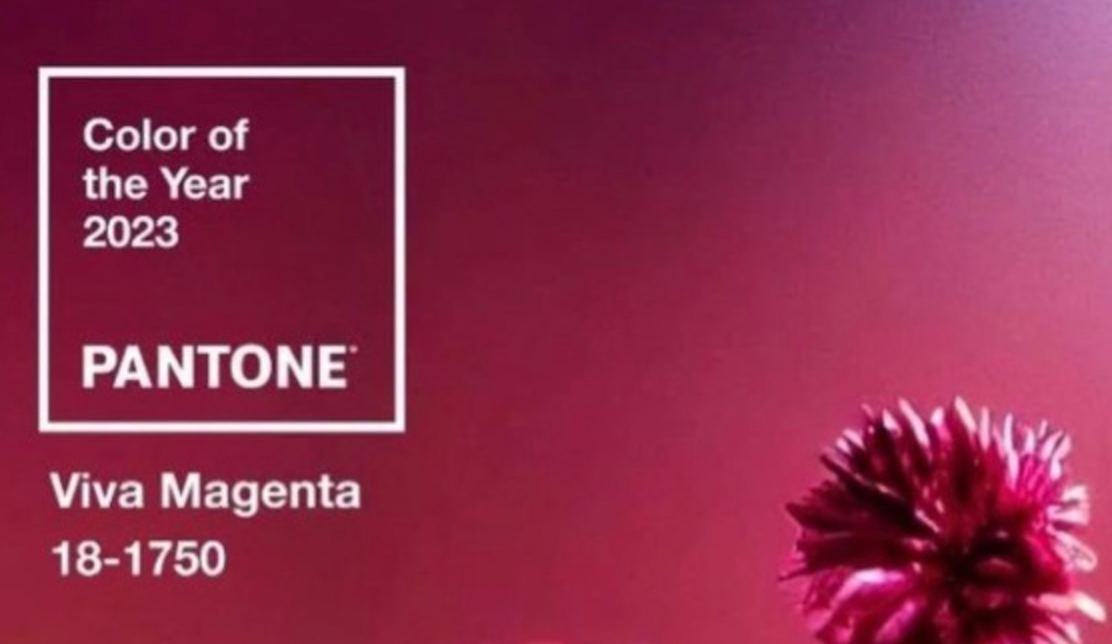 В Pantone назвали главный цвет 2023 года