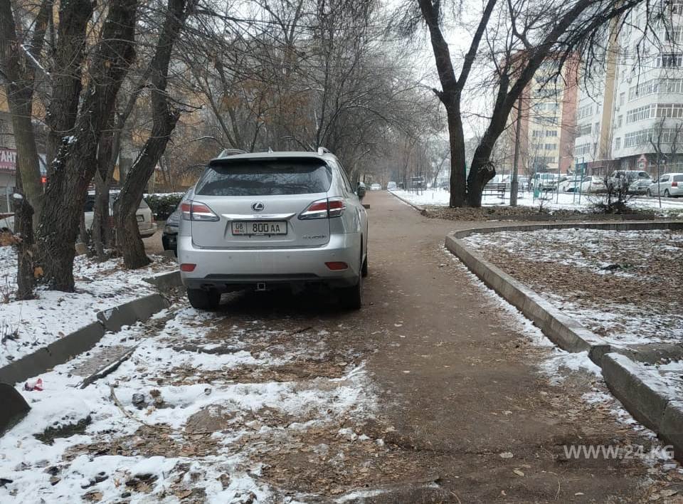 Чудаки парковки