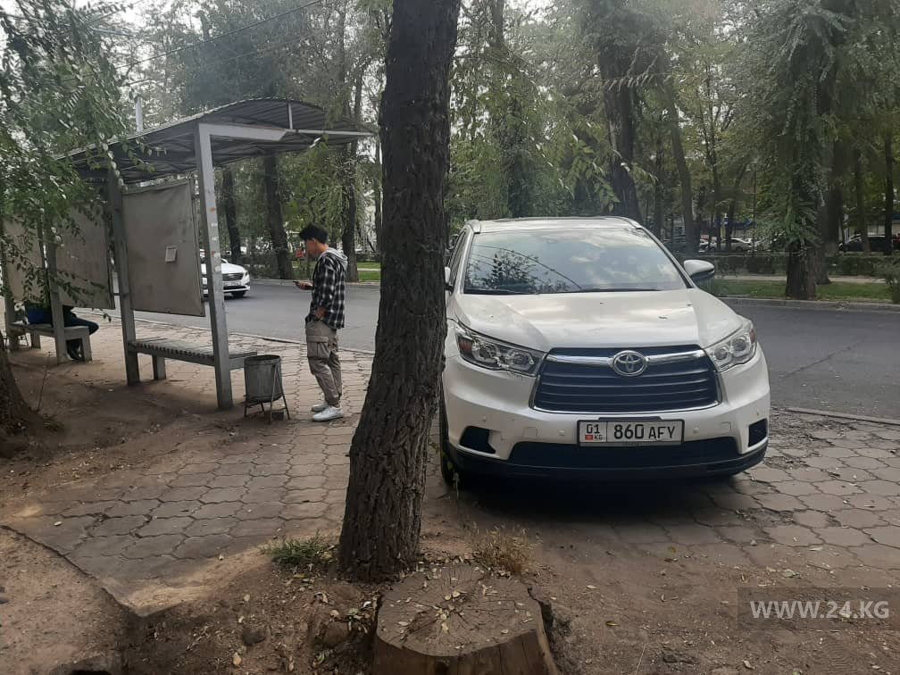 Чудаки парковки