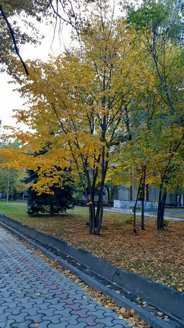 Осенний Бишкек