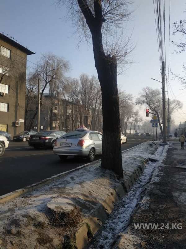Чудаки парковки