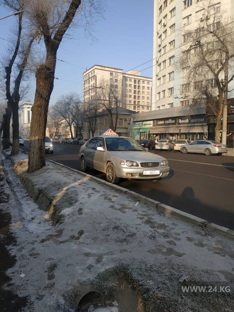 Чудаки парковки