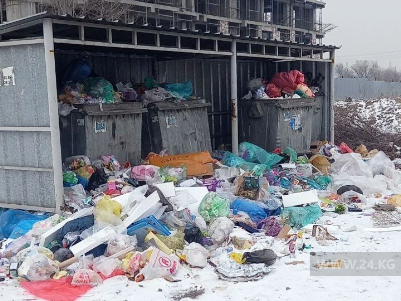 Контейнеры для сбора мусора на улице Куттубаева