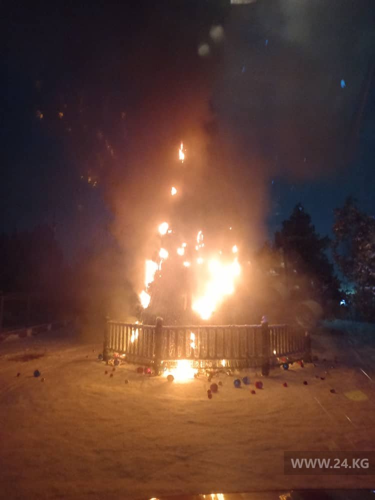 Сгоревшая елка