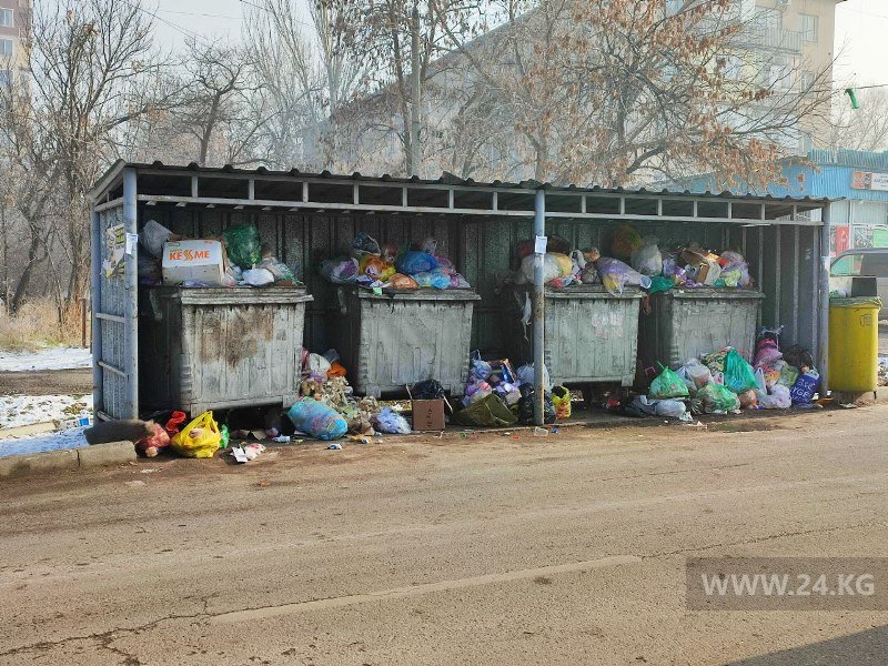 Контейнеры на улице Абая