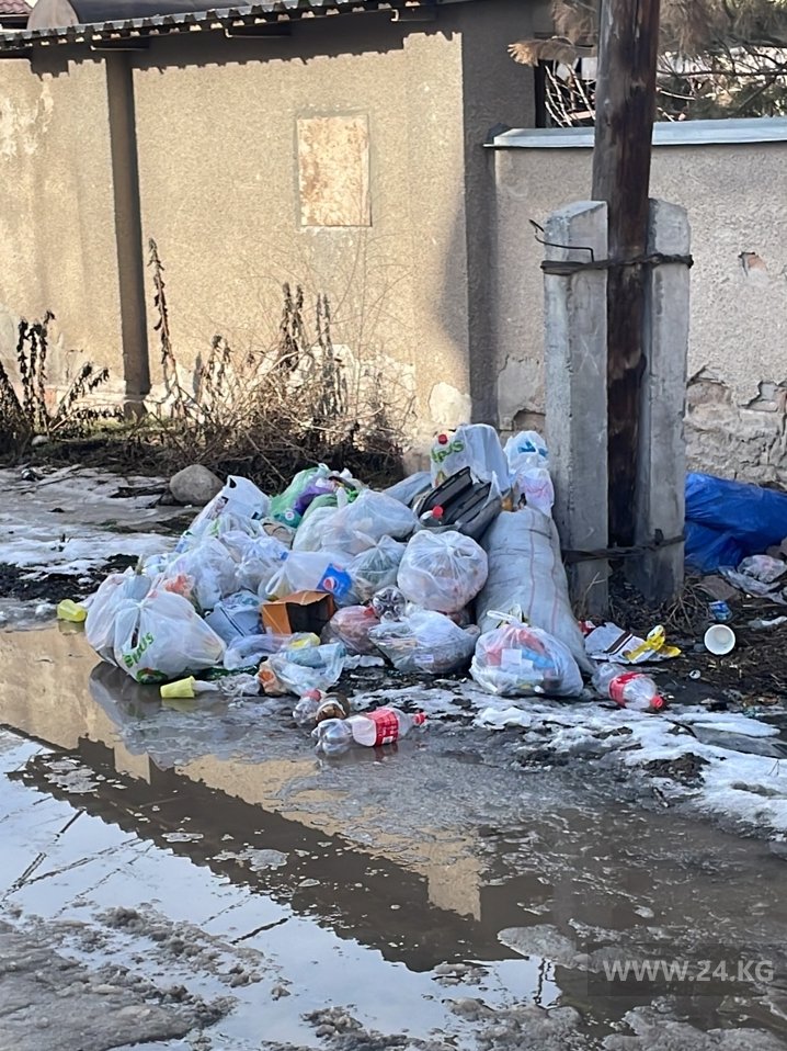 В Бишкеке в двух жилмассивах три недели не убирают мусор
