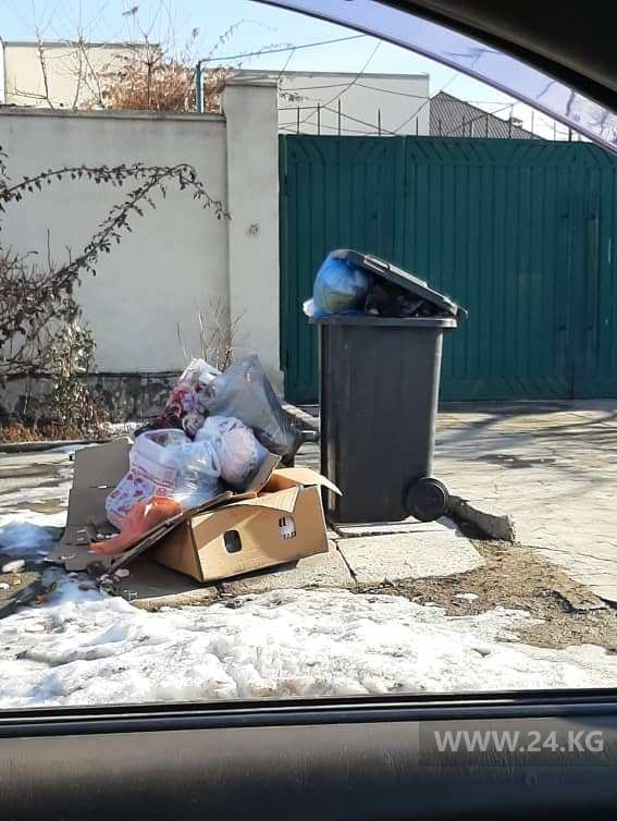 В Бишкеке в двух жилмассивах три недели не убирают мусор