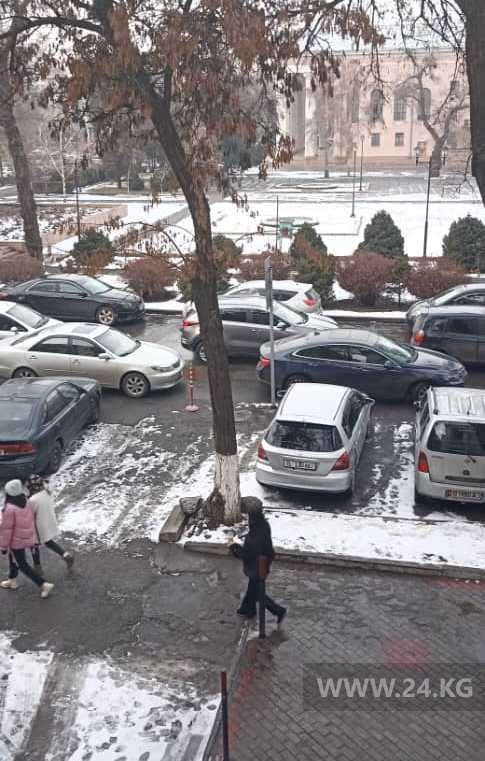 Чудаки парковки
