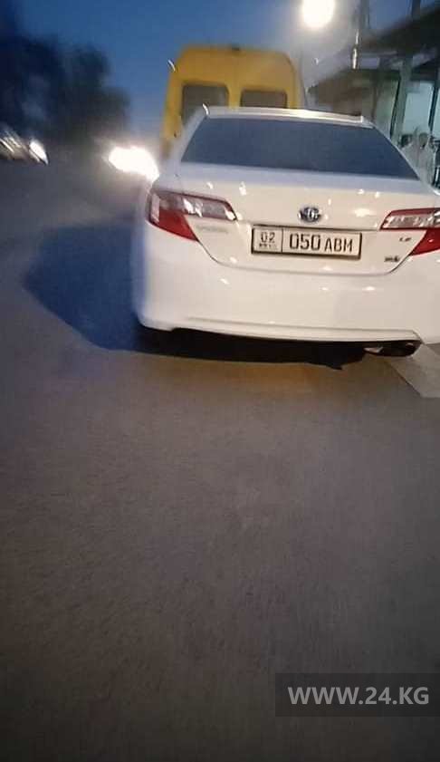 Чудаки парковки