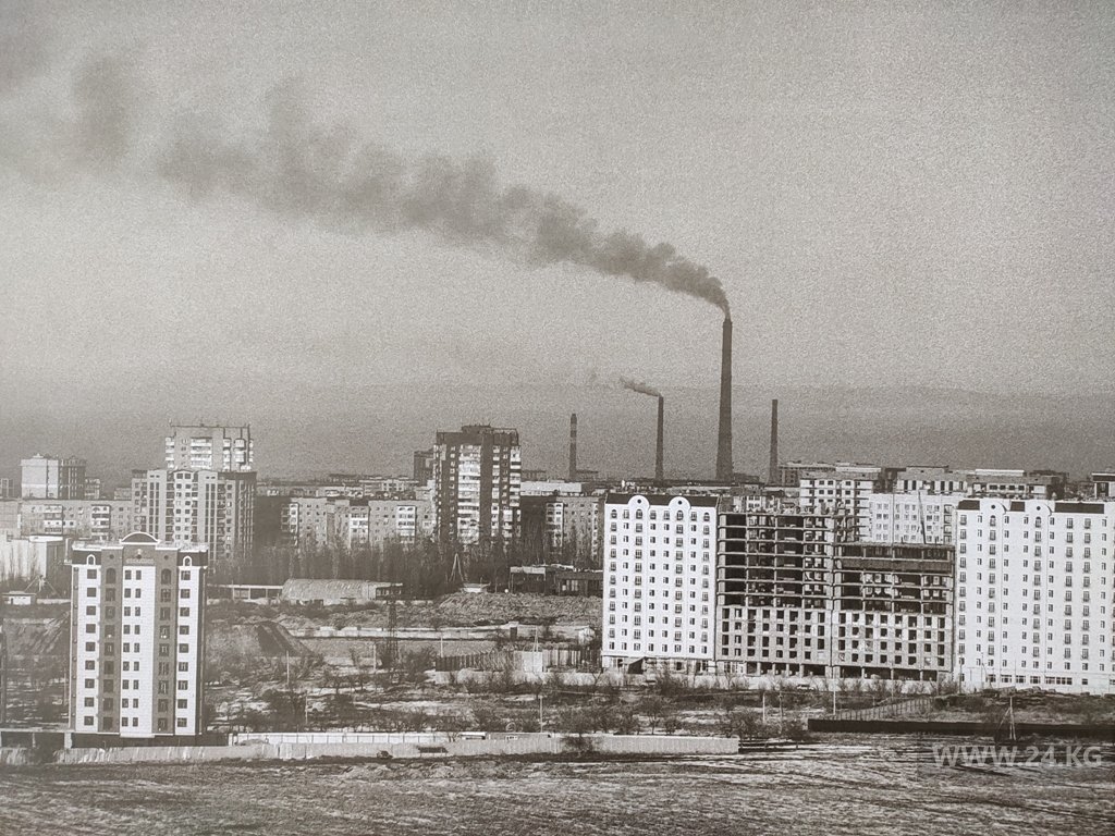 Выставка «Смог»