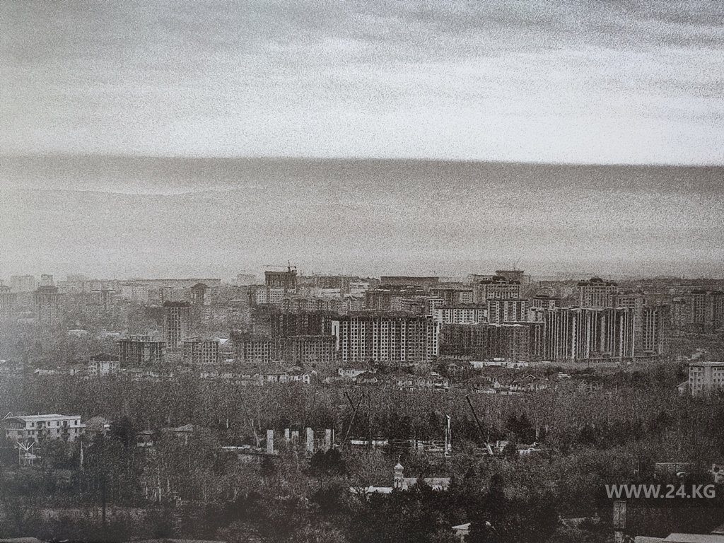 Выставка «Смог»