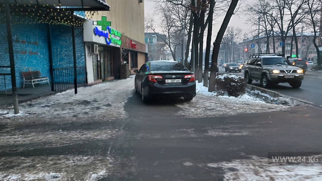 Чудаки парковки