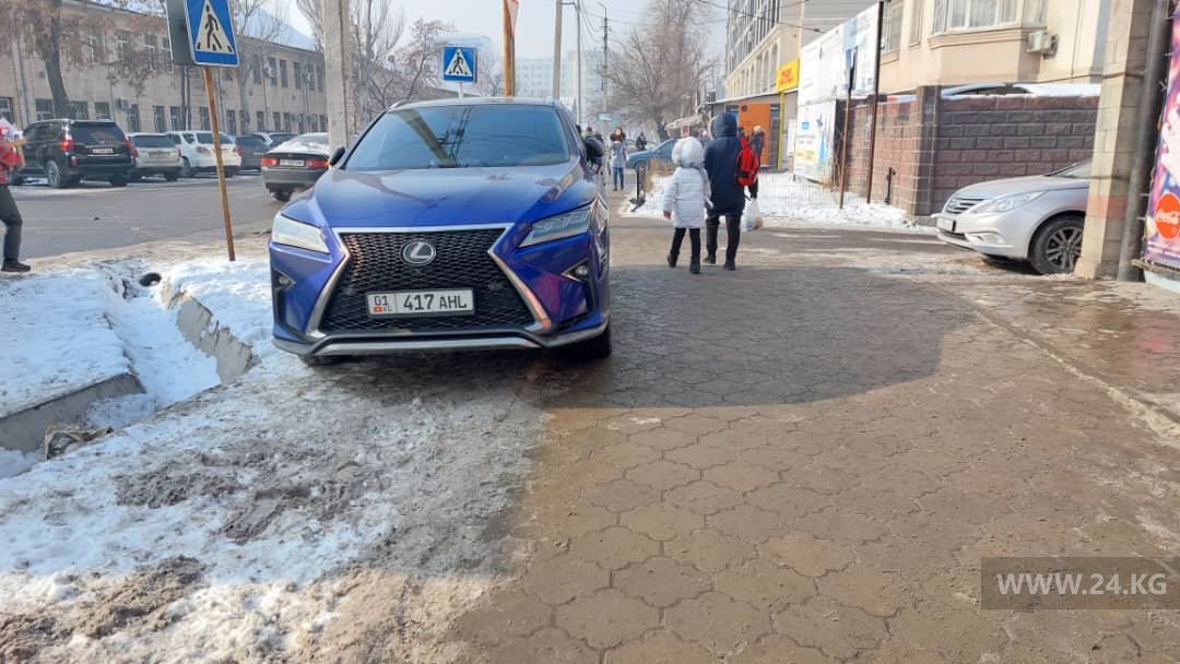 Чудаки парковки