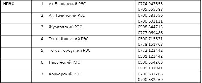 Нарынское предприятие электрических сетей